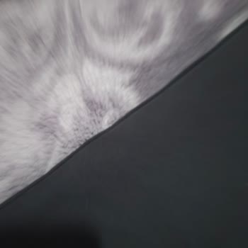 Yanlış Beden Ve Kullanılmış Ürün Gönderimi Sonrası İade Sorunu