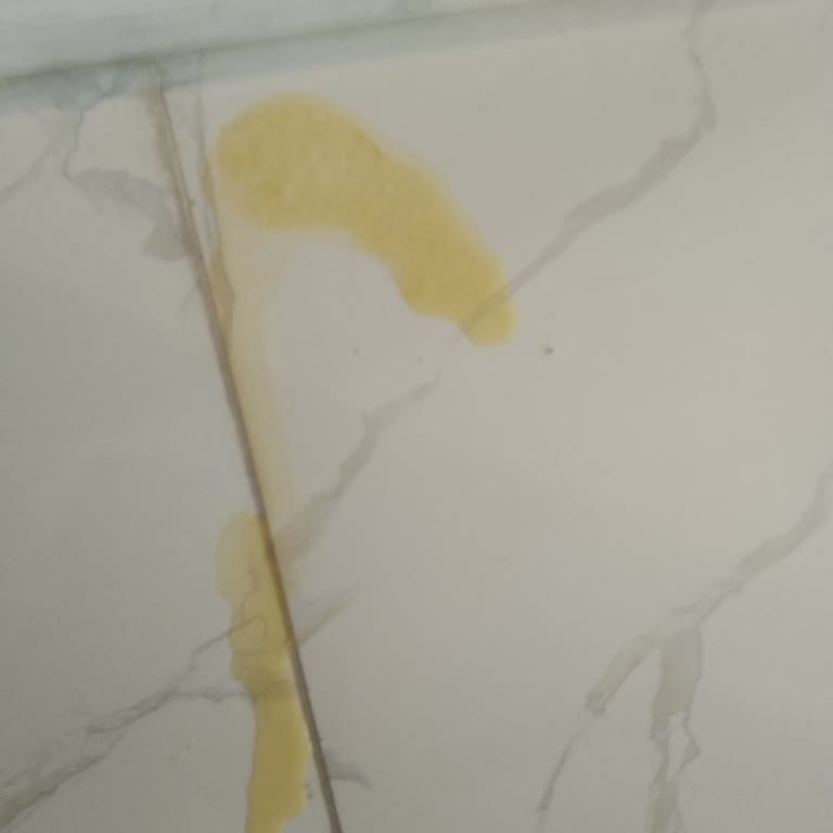 Aldığım Kedi Ürünleri Kedimi Hasta Etti, Firma Ve Satıcıdan Destek Alamıyorum