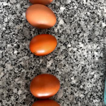 Organik Yumurtalarda Belirgin Boy Ve Ağırlık Farkı Tüketiciyi Yanıltıyor