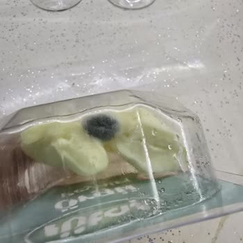 Açılmamış Sütaş Örgü Peynirde Son Kullanma Tarihine Rağmen Küf Oluştu