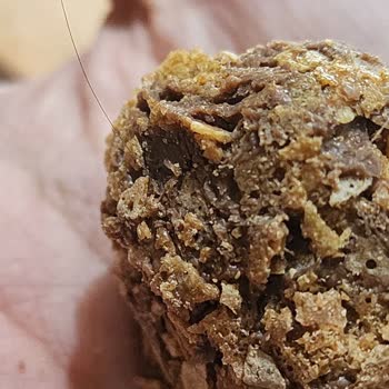 Çikolatalı Hurmanın İçinden Saç Çıktı: Hijyen Skandalı