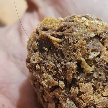 Çikolatalı Hurmanın İçinden Saç Çıktı: Hijyen Skandalı