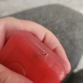 Organik Gül Sabununun İçinden Yabancı Madde Çıktı Sağlık Riski Yaşadım