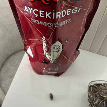 Çitlekçi Ayçekirdeğinde Yabancı Madde Ve Tekrarlayan Kalite Sorunu