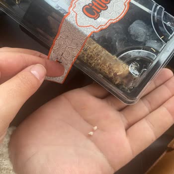 Lokumun İçinden Sert Cisim Çıktı, Sağlığım Tehlikeye Girdi