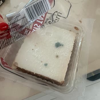 BİM Osmanoğlu Şubesinden Aldığım Tatlılar Küflü Ve Bozuk Çıktı, Sağlığım Tehlikeye Girdi