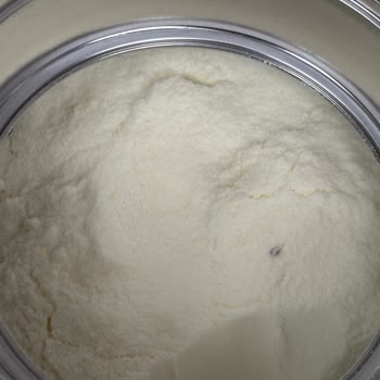 Bebek Mamasında Böcek Şoku: Sağlık Ve Güvenlik Endişesi