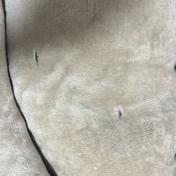 Ayıplı Kedi Yatağı İçin İade Talebim Reddedildi