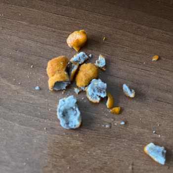 A101den Aldığım Soslu Fıstık Cips Bozuk Çıktı Sağlığım Riske Girdi