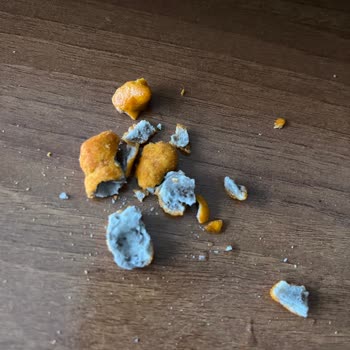 A101den Aldığım Soslu Fıstık Cips Bozuk Çıktı Sağlığım Riske Girdi