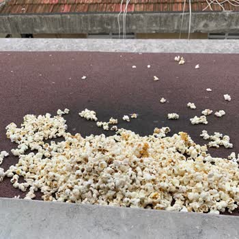 A101 Şubesinden Alınan Paketli Mısırda Kurtlanma Ve Bozulma Şoku