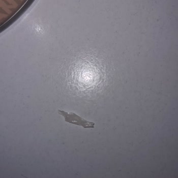 Bahar Hindi But Ürününde Sert Plastik Parça Ve Hijyen Endişesi Yaşadım