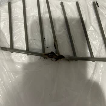 Franke Bulaşık Makinesi Sepetlerinde Erken Paslanma Ve Yetersiz Müşteri Desteği