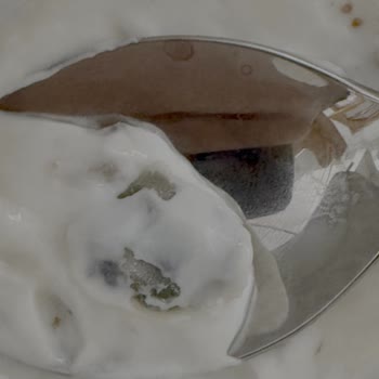 Sek Süt Son Kullanma Tarihi Geçmemiş Üründe Küflü İncir Parçası İle Karşılaştım