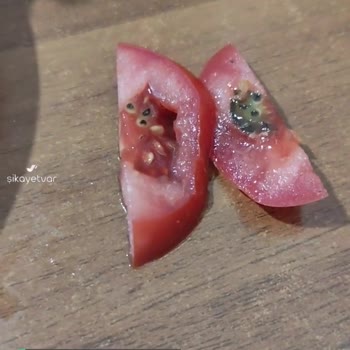 Kebapçızade Ömer Usta Domates Bozuktu, Lahmacun İçi Ekşiydi