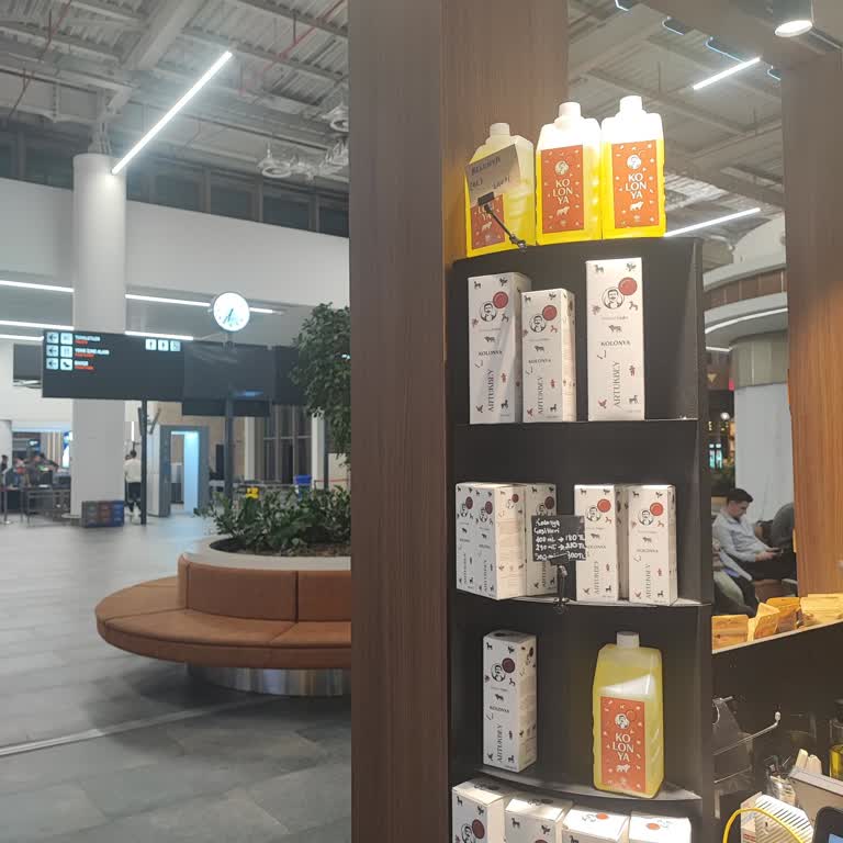 Adana Havalimanı'nda Kolonya Kurallarındaki Tutarsızlık Yolcuları Mağdur Ediyor