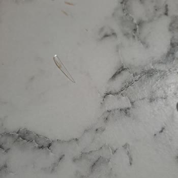 Profiterolün İçinden Çıkan Mika Parçası Sağlık Riski Oluşturdu