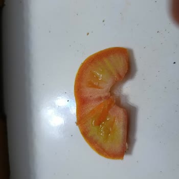 Yetersiz İç Malzemeyle Hayal Kırıklığına Uğradım