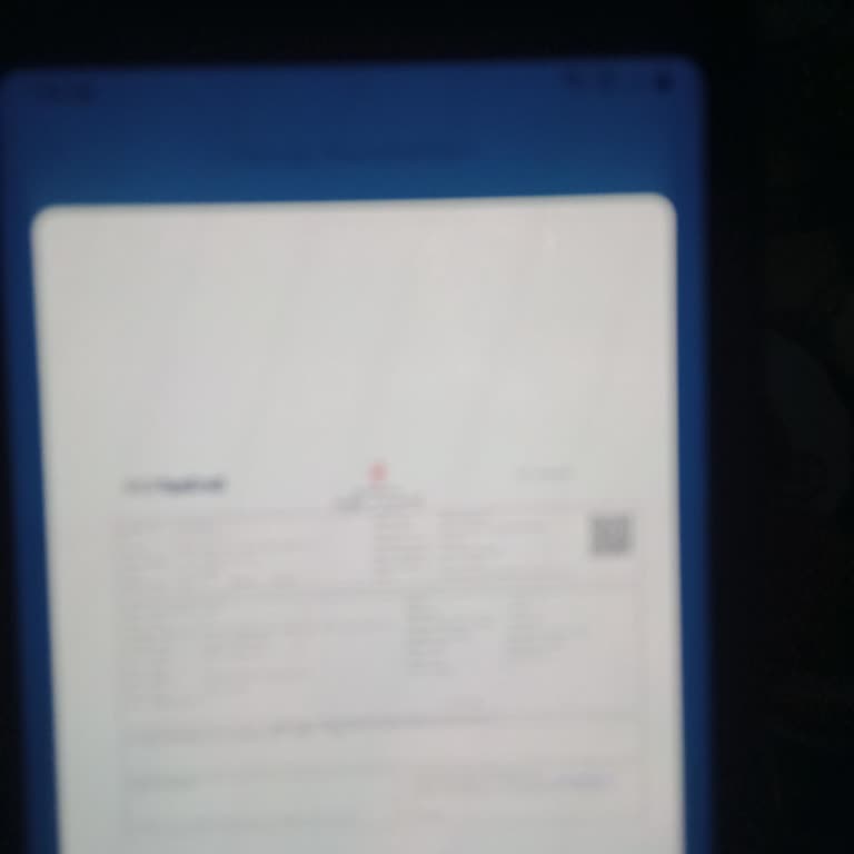 Yatırım Yaptığım Para Hesabıma Geçmedi, Ek Yatırım Talep Edildi
