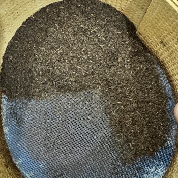 1 Kg Doğuş Karadeniz Çayının Dörtte Biri Toz Çıktı Şaşkınım Ve Mağdurum