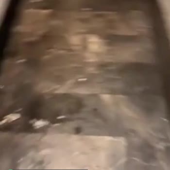 Sur Yapı Marka AVM Tuvaletler Çok Pis!