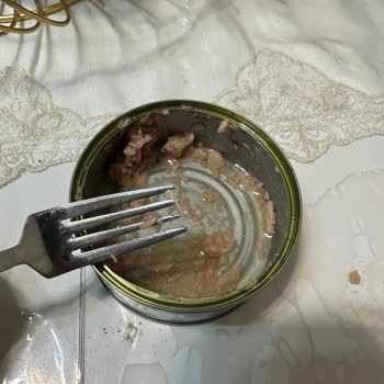 Derya Ton Balığı'nda Çıkan Kılçık Sağlığımı Riske Attı, Güvenim Sarsıldı!