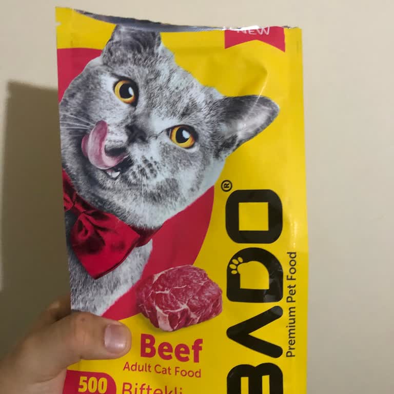 Kedimin Sağlığını Tehdit Eden Mama Deneyimi