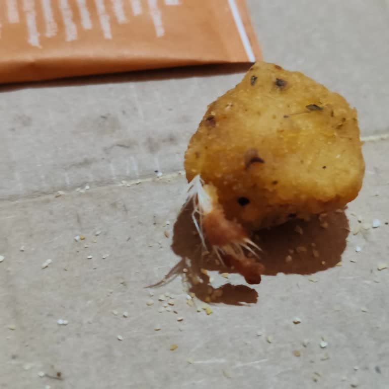 Little Caesars Eksik Ürün ve Hijyen Sorunu Sonrası Yetersiz Çözüm: Ücret İadesi Talebim