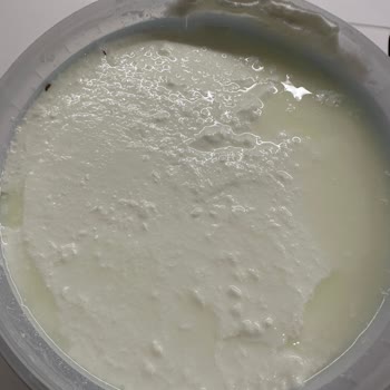 Sütaş Yoğurtta Siyah Parçalar Ve Gıda Güvenliği Endişesi!