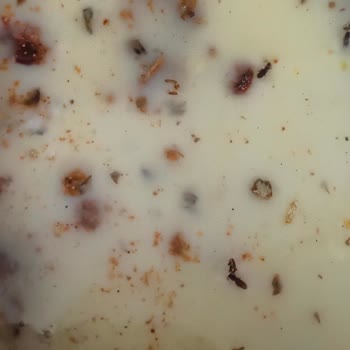 Knorr Tavuk Çeşnisinde Böcek Çıkması Nedeniyle Güven Kaybı Ve İade Talebi!