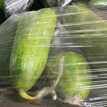 BİM Şubesinde Küflü Salatalıkların Reyonda Kalması Ve İlgisizlik