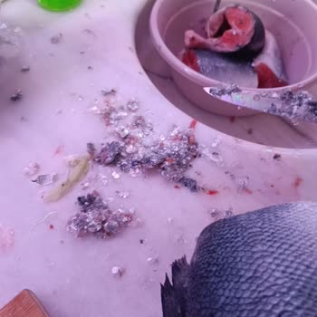 Carrefour Online Balık Siparişlerinde Temizlenmemiş Ürün Ve Hatalı Faturalama Sorunu