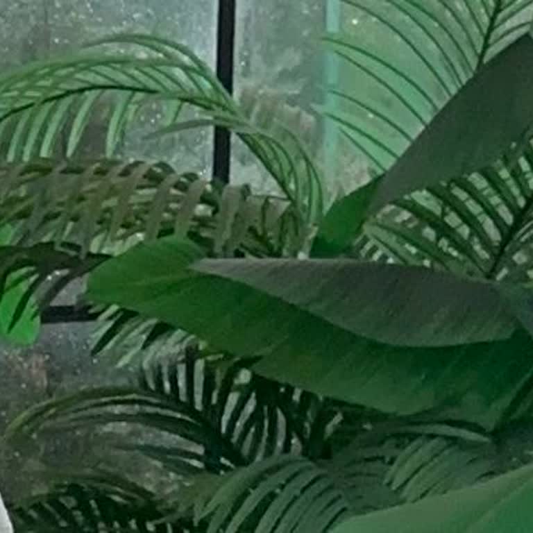 Kuaför Ayten Velioğlu Saçım Da Makyajım Da Hem Kalite Hem Görünüş Olarak Son Derece Kötü Yapıldı