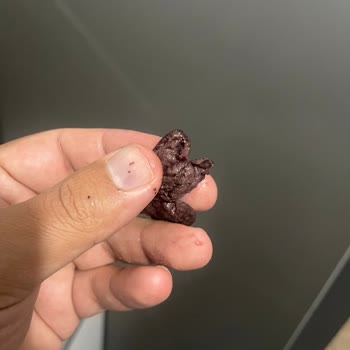 MarmaraBirlik Siyah Zeytinlerde Hijyen Sorunu Ve Canlı Kurtlar