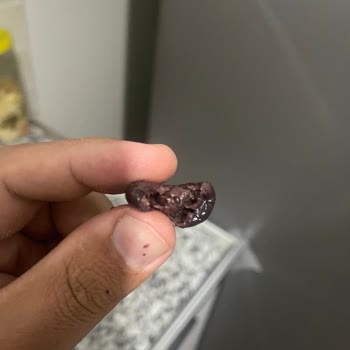 MarmaraBirlik Siyah Zeytinlerde Hijyen Sorunu Ve Canlı Kurtlar