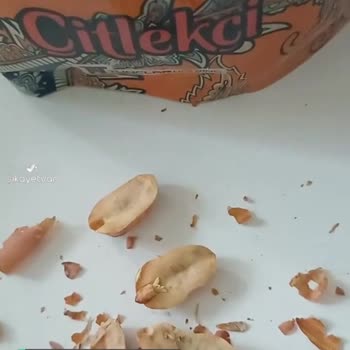 Çitlekçi İçleri Küflü Fıstık!