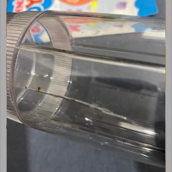 Sigortalı Blender Parçası Kısa Sürede Çatladı Değişim Yapılmıyor