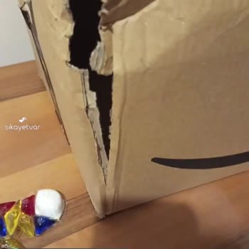Patlak Bulaşık Deterjanı Ve İlgisiz Amazon