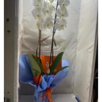 Görselden Farklı Ürün Ve Yetersiz Çözüm Süreci Nedeniyle Güven Kaybı