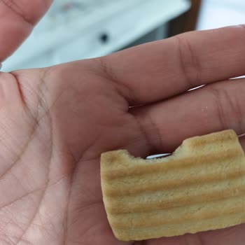 Cici Bebe Bisküvisinde Kemirgen Temasıyla Sağlık Riski Yaşadım