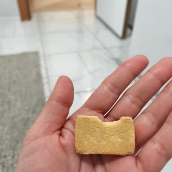 Cici Bebe Bisküvisinde Kemirgen Temasıyla Sağlık Riski Yaşadım