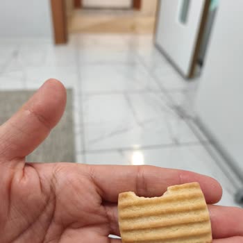 Cici Bebe Bisküvisinde Kemirgen Temasıyla Sağlık Riski Yaşadım