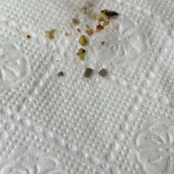 Çikolatanın İçinden Taş Çıkması Nedeniyle Güven Kaybı Ve Ürün Değişim Talebi