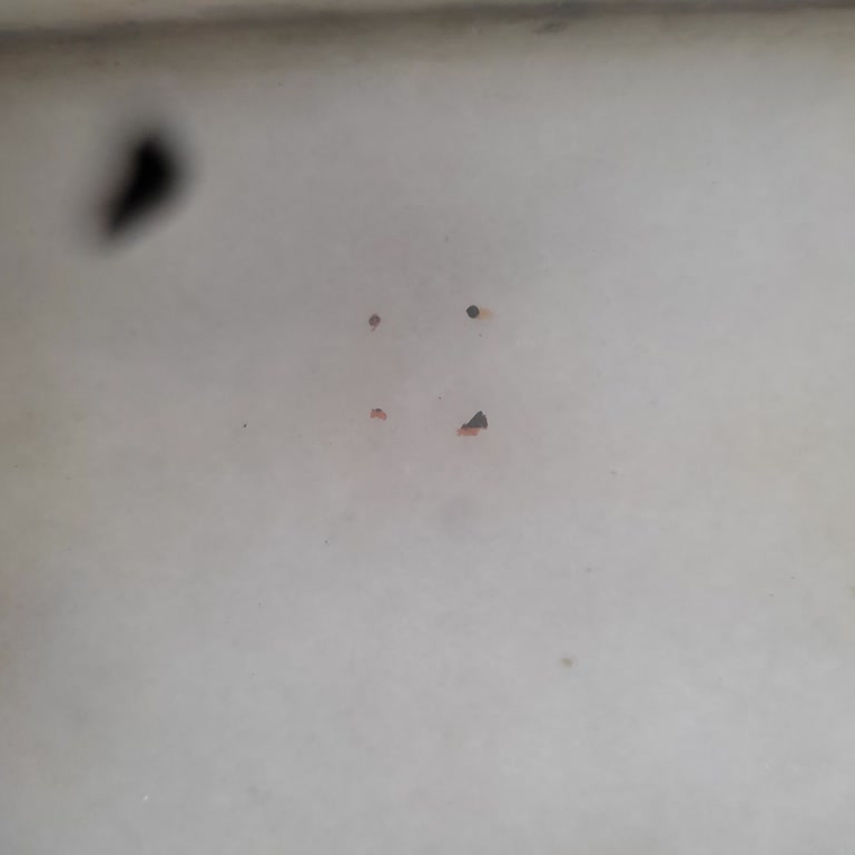 Sucukta Çıkan Yabancı Maddeler Ve Açıklama Talebi