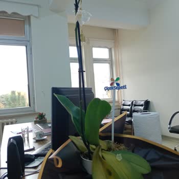 Çiçek Sepetinden Gelen Orkide Kırık Ve Sarı Yapraklı Geldi, Müşteri Temsilcisine Ulaşılamıyor