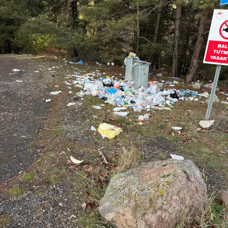 Çamkoru Ormanı’ndaki Çöp Sorunu Ve Belediye İhmali