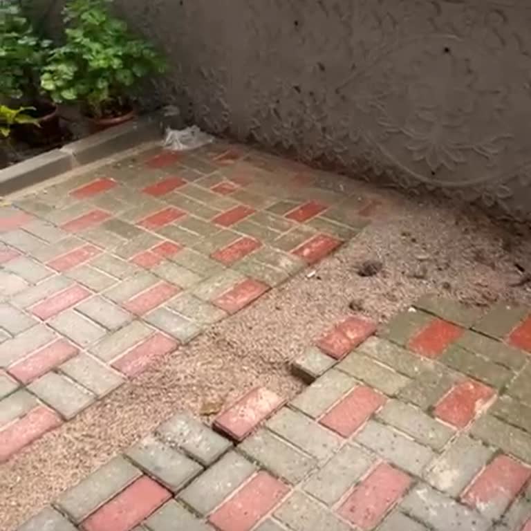 Türk Telekom Kazı Sonrası Bahçe Taşlarımız Ve Su Hattımız Zarar Gördü Çözüm Bekliyoruz