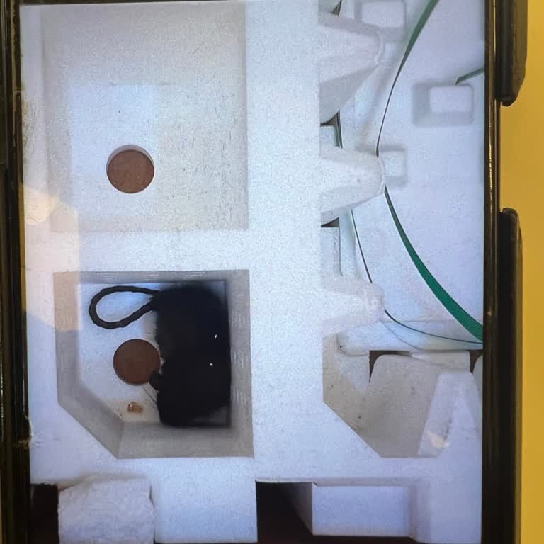 Yeni Alınan Siemens Ocakta Hijyen Skandalı Ve Sağlık Riski