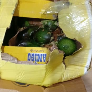 DHL İle Gönderdiğim Gıda Kargosu Ezildi, Maddi Zarara Uğradım