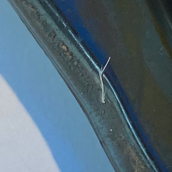 Siparişimde Tavuk Tüyü Çıktı, Hijyen Ve Güvenlik Endişesi Yaşıyorum